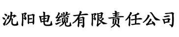 抖阴appp电缆厂logo